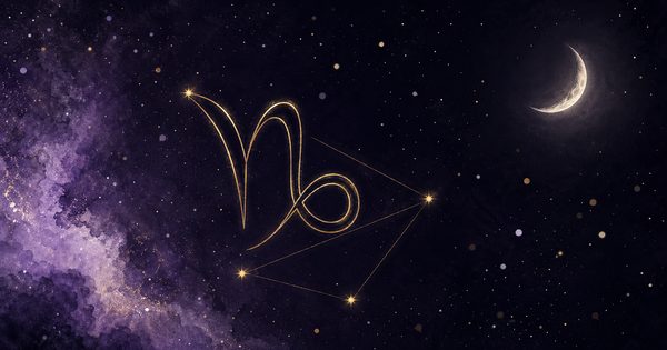 やぎ座の夜空の挿絵