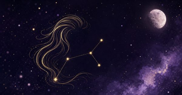 しし座の夜空の挿絵